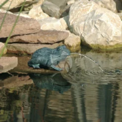 Ubbink Kikker Spuitfiguur - Klein