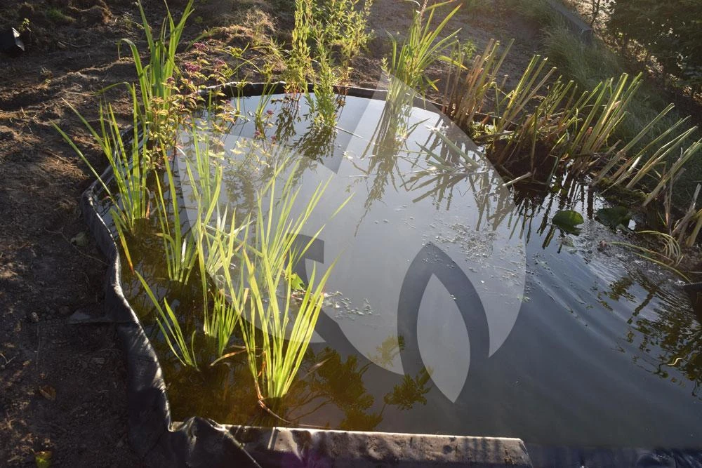 Nature Flexibele Borderrand 14 Cm X 15 M - Afbeelding 6