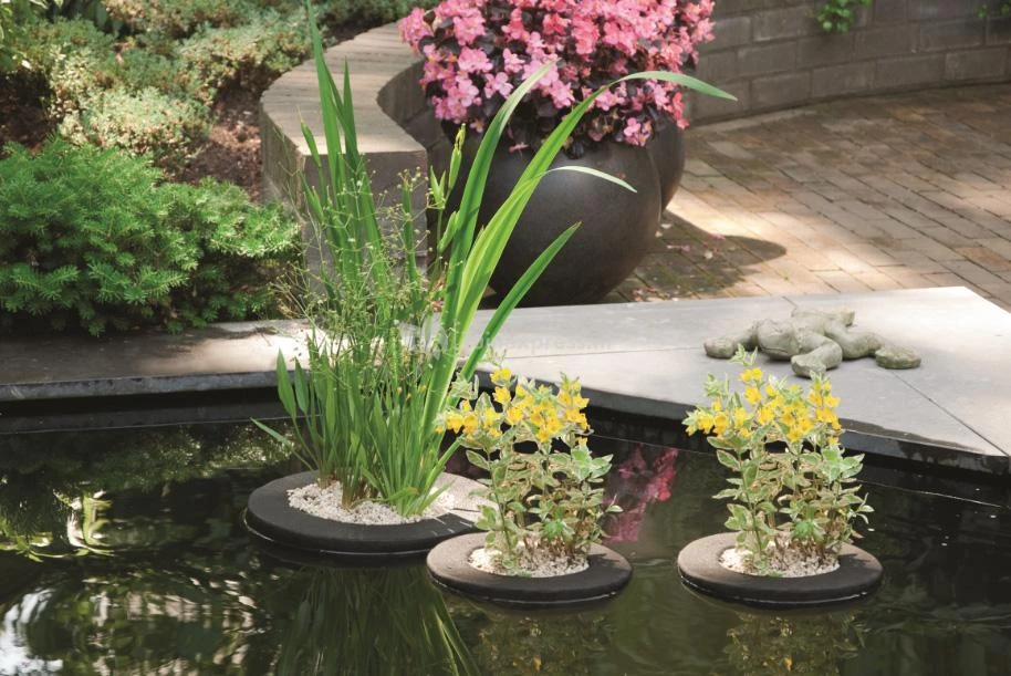 Drijvend Planteneiland 25 Cm Rond Velda - Afbeelding 2