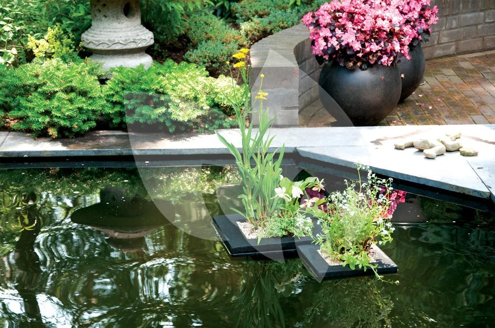 Drijvend Planteneiland 25 X 25 Cm Vierkant Velda - Afbeelding 2