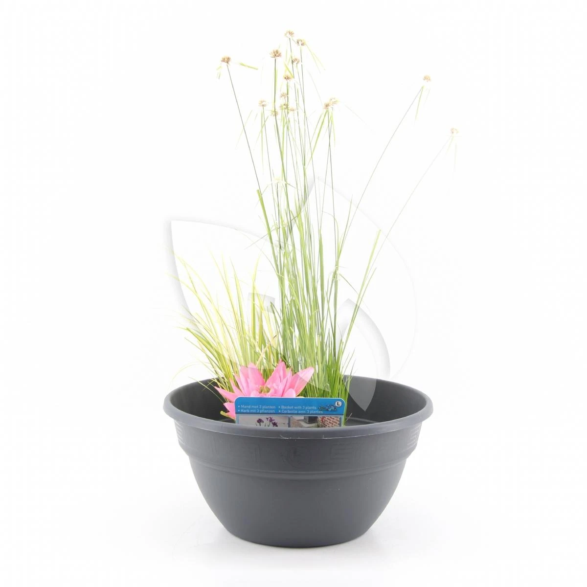 Mini Vijver Kunststof Grijs