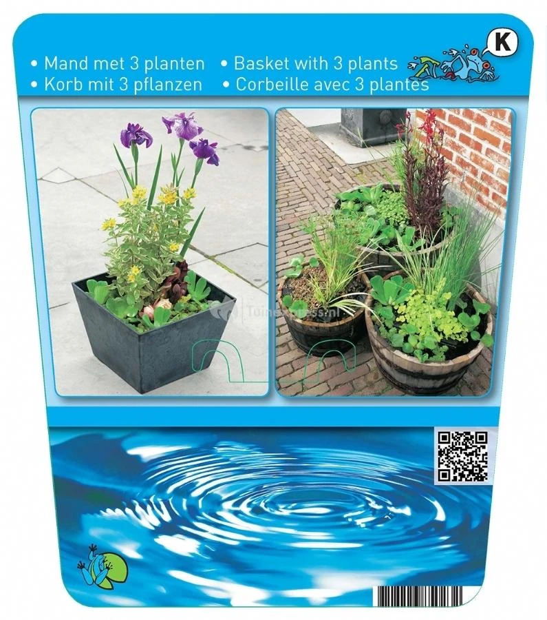 Mix Waterplanten In Vijvermand - Afbeelding 3