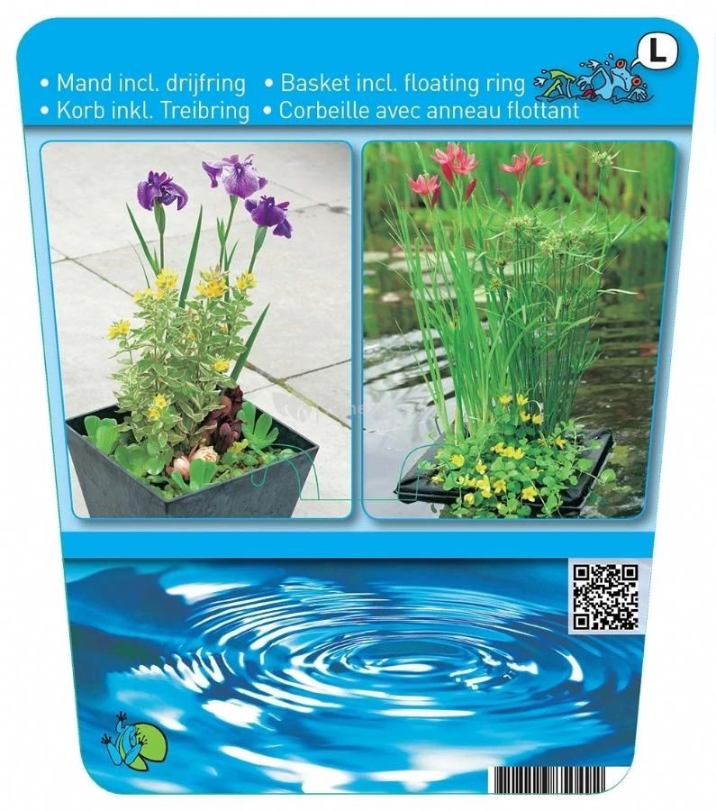 Mix Waterplanten Op Drijvend Planteneiland - Afbeelding 2