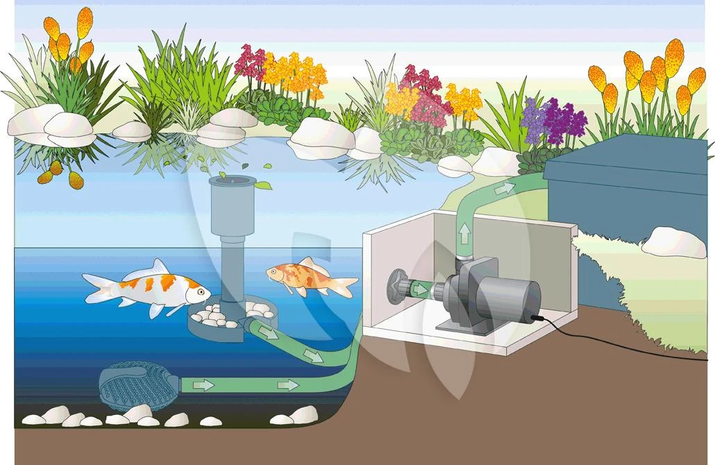 OASE AquaMax Dry 6000 Filterpomp - Afbeelding 2