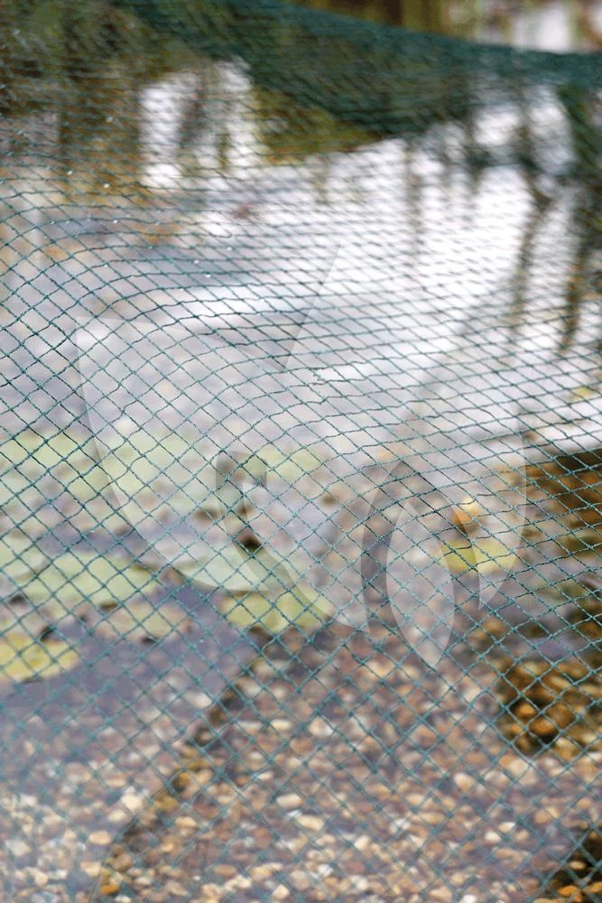Oase Vijvernet 6 X 10 Meter - Afbeelding 3