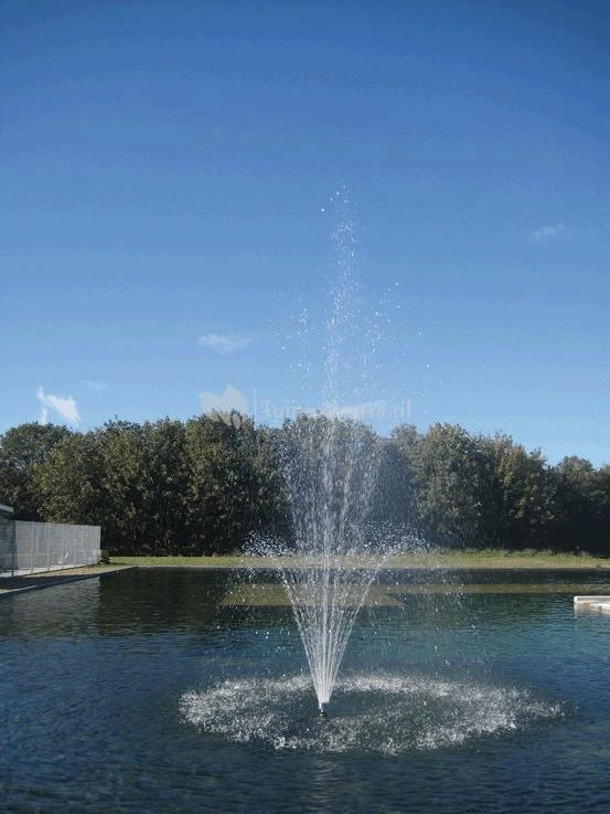 OASE Sproeikop Vulkaan 43 β 3 Zilver - Afbeelding 3